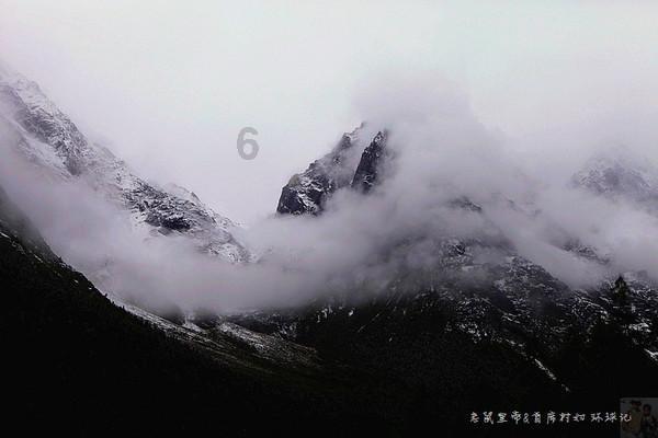 沪江开心词场