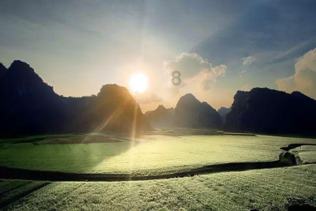解救金刚鹦鹉