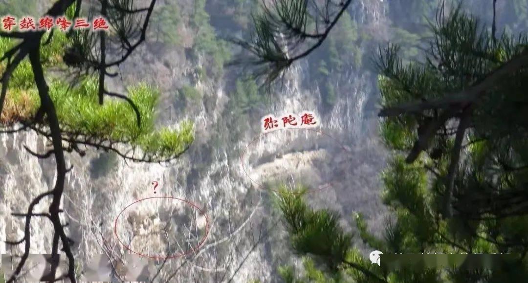 全民剧本大师内置菜单