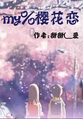 高透多层氧化锆-名副其实的高质量之选