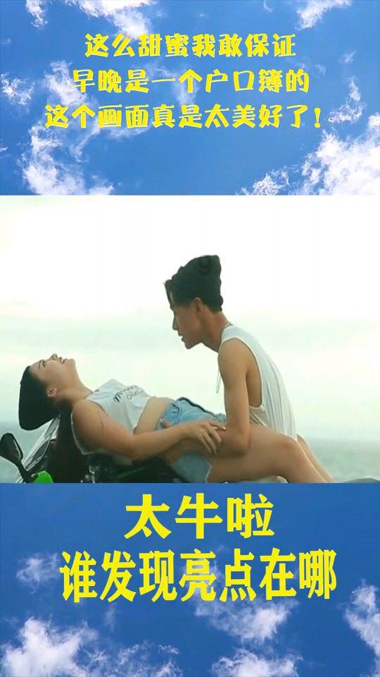 拯救机灵鸟