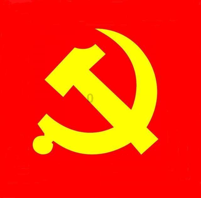 请问各位这叫什么花?多谢!- 你的全方位问题解答平台