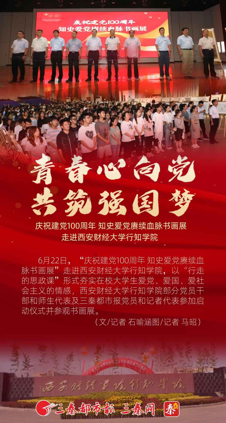 兰博基尼填颜色