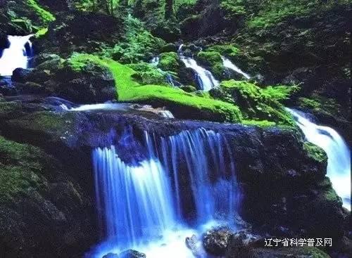米兰青训,生涯主要效力紫百合和国米这是哪位传奇呢?