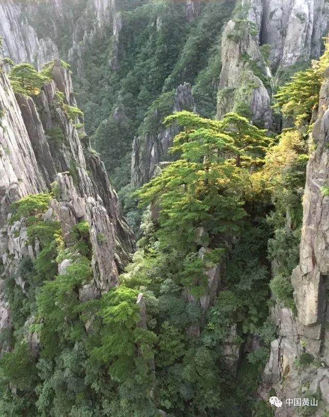 街头打手2