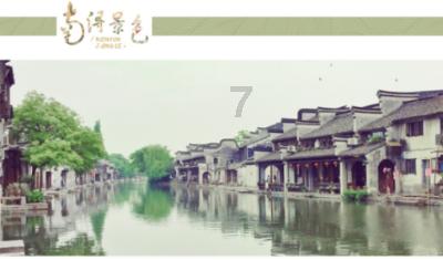 动物帮帮忙保卫家园