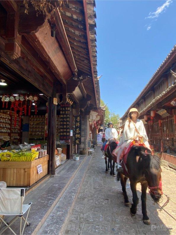 动物帮帮忙保卫家园