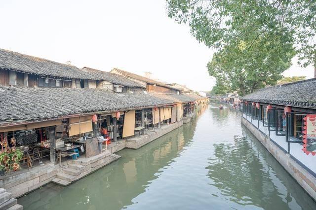 中国与老挝携手维护生态环境安全 边境区域联防林草虫害
