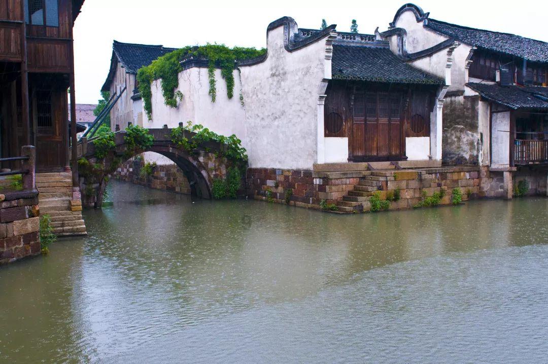 救援大胡子斗士