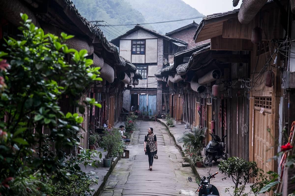 哪位知道这是什么