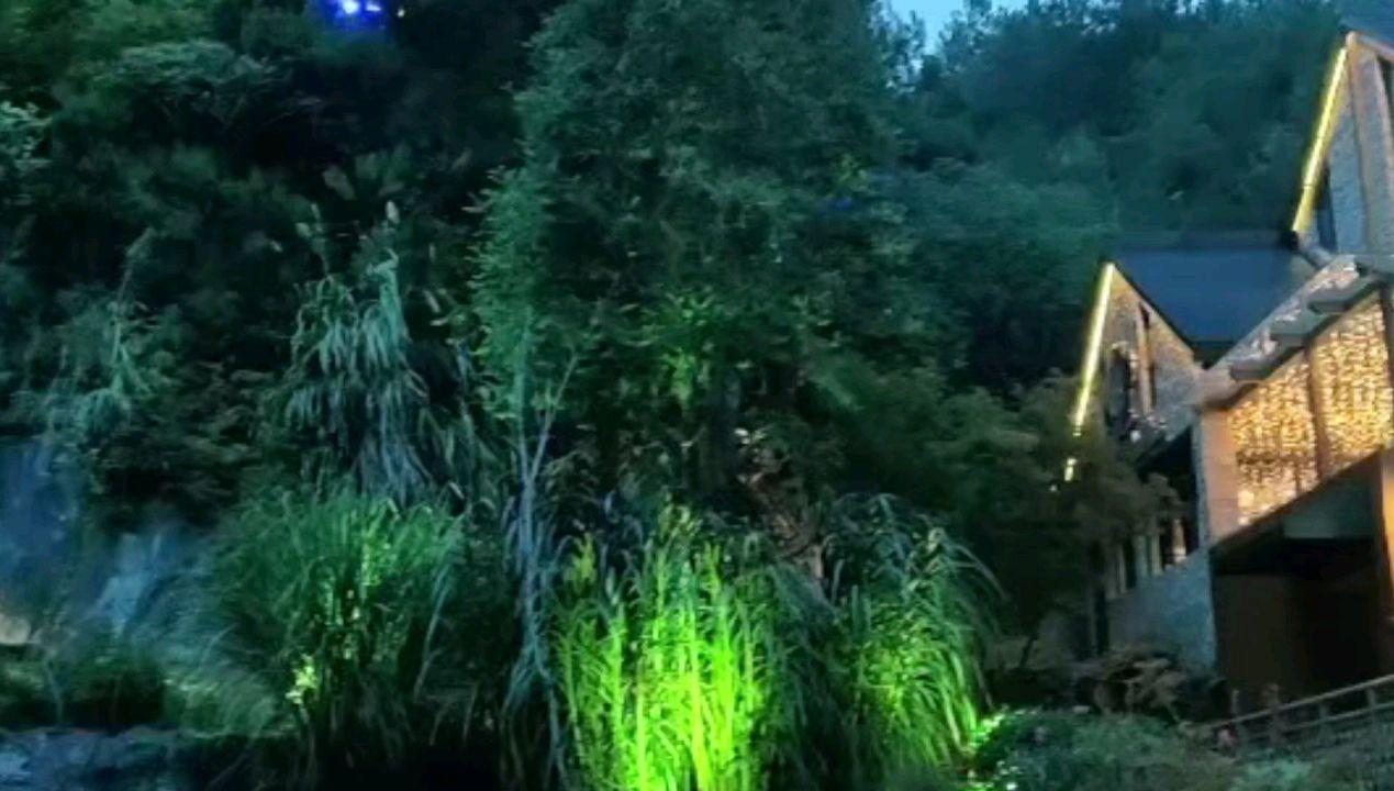 阿提拉：全面战争
